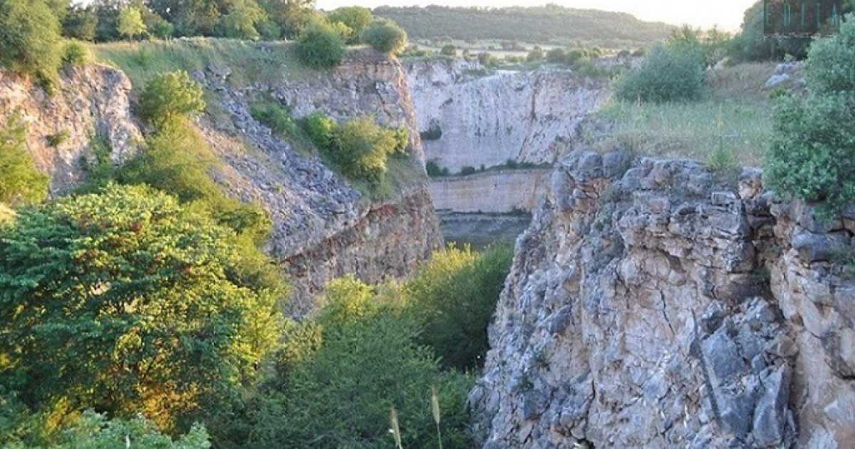 Acquaviva, Gioia e Mellitto: l� dove sono nascoste le incontaminate oasi del Wwf